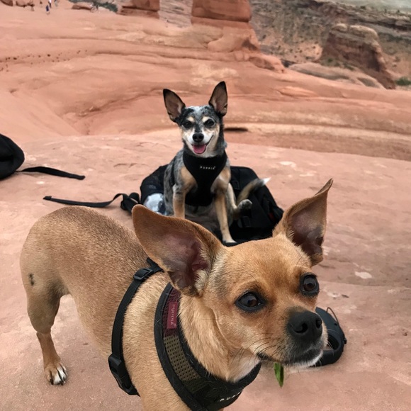 Meet your Posher, Joann - Picture 1 of 1